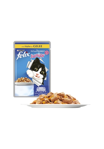 Purina Felix Karışık Çeşitli Pouch Yetişkin Kedi Yaş Maması 20 x 85 G