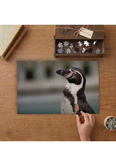 Yakın Çekim Sevimli Penguen Tasarımı 240 Parça Ahşap Puzzle Ahşap Kutuda Mpy50392
