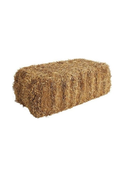 Blya Samanı 22 Kg Saman Balyası Standart