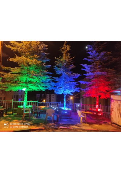 Palmiye Çember Aydınlatma Ip67 50cm