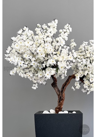 Biçiçek Yapay Beyaz Sakura Ağacı 100 Cm Bahar Dalı Antresi̇t Kare Saksıda