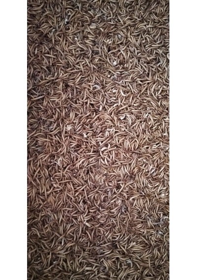 Mercan Un Kurdu 100 G