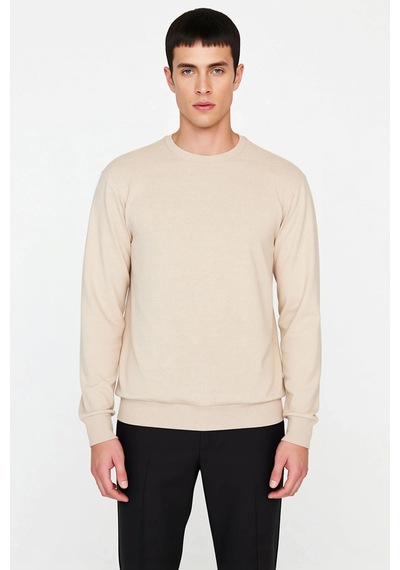 Benerly Erkek Bisiklet Yaka Standart Kol Regular Kalıp Sweatshirt Fonksiy Bej