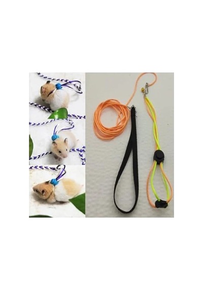 Patentli Hamster Gezdirme Tasması - Dolaştırma İçin