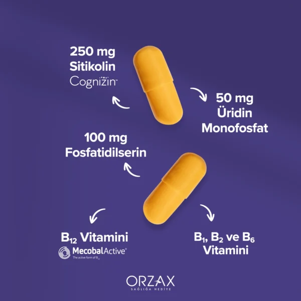 Ocean Cogniven Kapsül