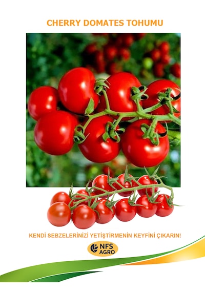 Cherry Domates Tohumu 5 Gram
