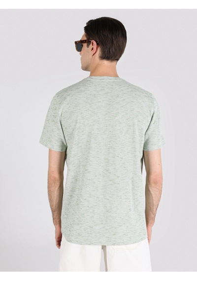 Colin'S Regular Fit Bisiklet Yaka Yeşil Erkek Kısa Kol Tişört Cl1062866_Q1.V2_Lkh
