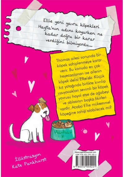 Küçük Haylaz Köpeğim 1-Hayta'ya Bir Yuva - Holly Webb - Pegasus