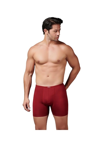 6 Adet Gümüş Erkek Bambu İnce Bel Elastan Boxer 8007 Bordo