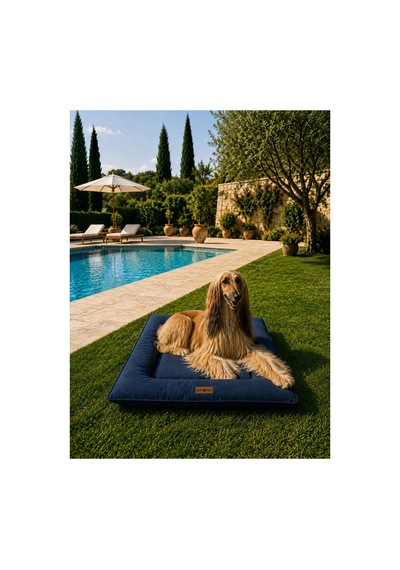 Kedi Ve Köpek Yer Minderi Outdoor Su Geçirmez Üst Kalite Tüy Ve Leke Tutmaz Boncuk Elyaf Kaydırmaz Taban Kedi Ve Köpek Yatağı Lacivert 1615632598 Kedi Ve Köpek Yer Minderi Outdoor Su Geçirmez Üst Kalite Tüy Ve Leke Tutmaz Boncuk Elyaf Kaydırmaz Taban Kedi Ve Köpek Yatağı Lacivert 1615632598