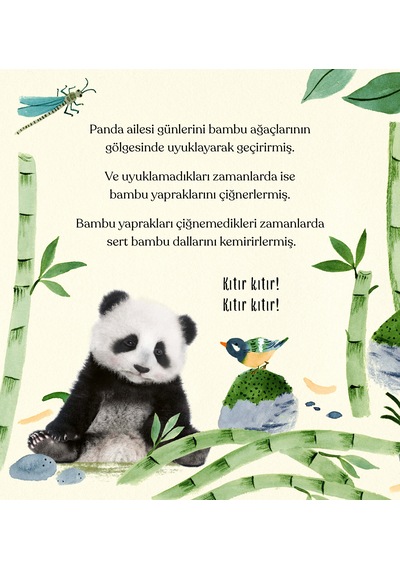 3-6 Yaş Tatlı Hikâyeler Seti