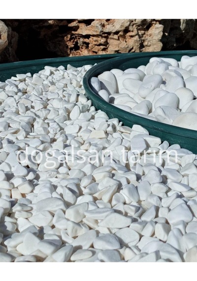 Beyaz Dolomit Taş 1 Kg 1-2 Cm Dere Taşı Çakıl Taşı Saksı Taşı Akvaryum, Teraryum Taşı Bahçe Taşı