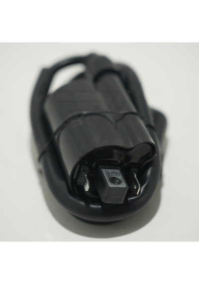 Drift L İndiksiyon Bobini 0.100 (54 Mm