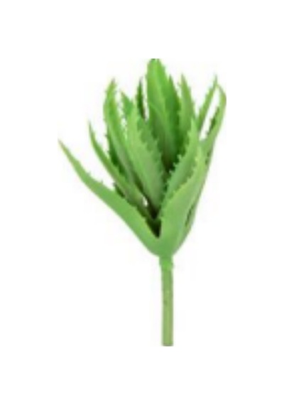 Yapay Eçeverya Sukulent Kaktüs Yeşil 19 Cm. Çok Renkli