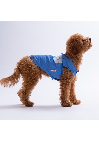 Ruby Slice Denim Karpuz Desenli Kot Kedi Köpek Gömleği-kedi Köpek Kıyafeti-kedi Gömlek-köpek Gömlek