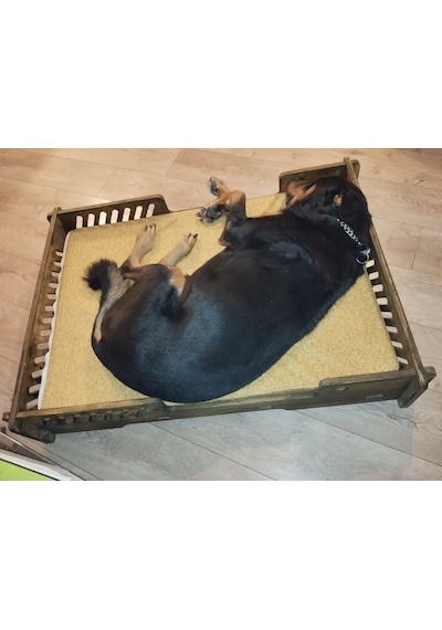 Pet Dizayn Bilboa Büyük Köpek Yatağı 2XL
