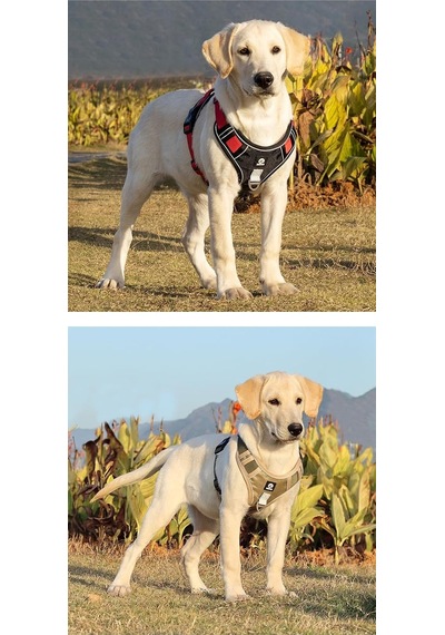 Yacel Köpek Tasması Ve Gezdirme Halatı Göğüs Ve Sırt Setli Reflektörlü 10, Haki, M
