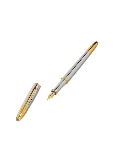 Steelpen 176 Krom Gold Dolma Kalem Standart