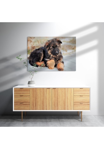 Cakasepetim Kahverengi Siyah Sevimli Yavru Köpek Ahşap Mdf Tablo