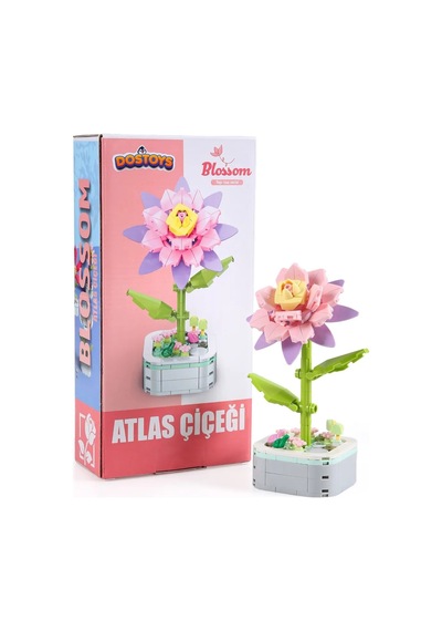 Dostoys 103-c 5 Blok Çiçek Atlas Çiçeği