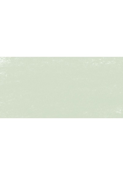 Schmincke : Artist Soft Pastel Boya : 080 O Cold Green 1
