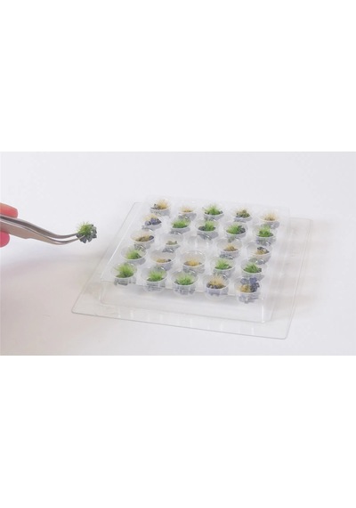 Noch 6920 Taşlı Çimen Kümeleri-a, 6 Mm, 25 Adet, Diorama Malzemesi