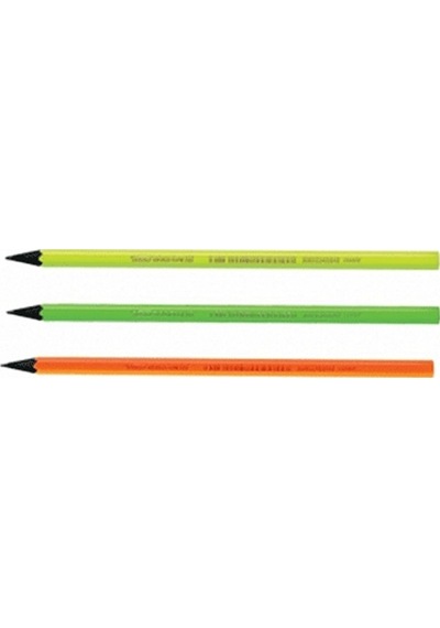 Bic Kurşun Kalem Evo Fluo 12 Li 940757 Çok Renkli