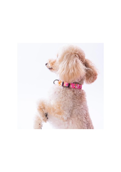 Daisy Papatya Desenli Köpek Boyun Tasması Ayarlanabilir Köpek Tasması S Pembe