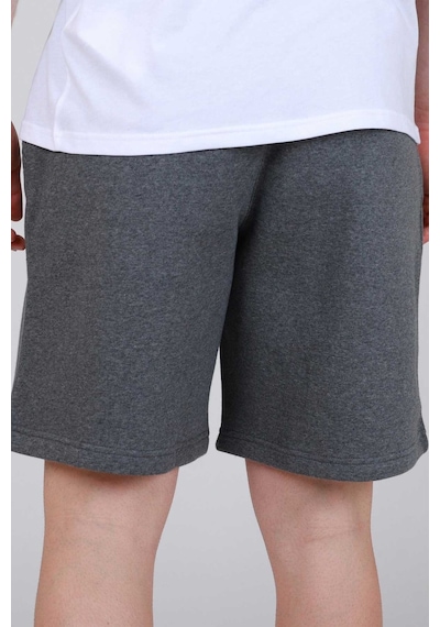 Nike Team Park 20 Erkek Spor Şort Cw6910-071 Gri