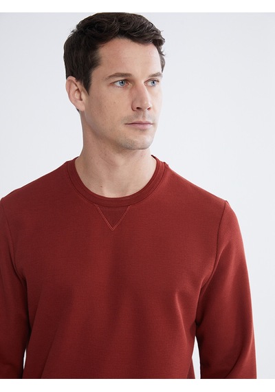 Lcwaıkıkı Classic Kahverengi Bisiklet Yaka Erkek Sweatshirt