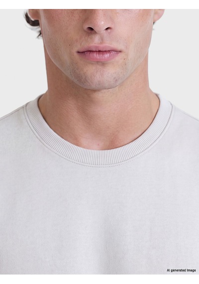 Lcwaıkıkı Classic Gri Bisiklet Yaka Erkek Kalın Sweatshirt