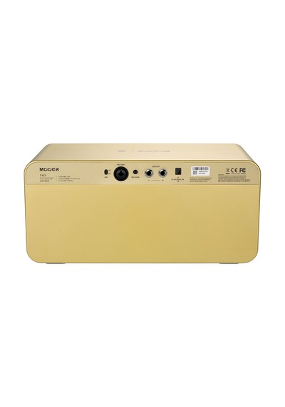 Mooer F40i/ıgl Future 40w Stereo Akıllı Gitar Amfisi Imperial Gold