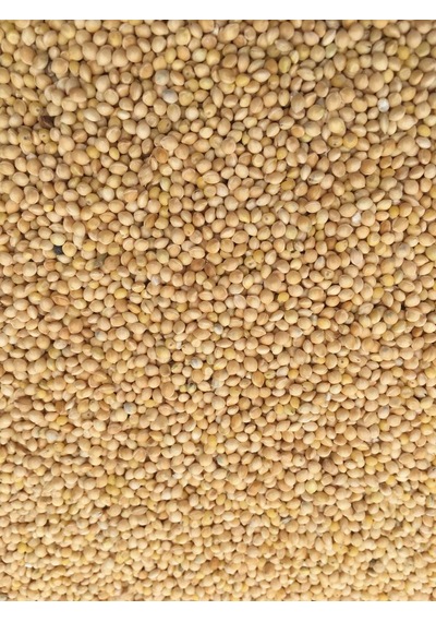 Ak Darı Muhabbet Kuşu Yemi 5 KG