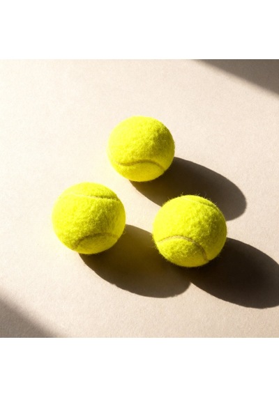 Runaway Köpek Tenis Topu 3'lü Set Oyun Ve Eğitim İçin