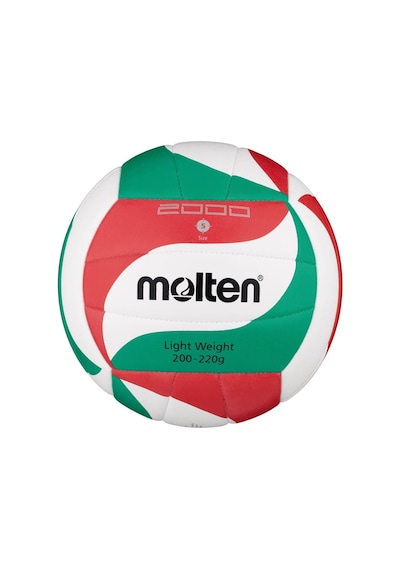 Molten Europe Gmbh Voleybol Topu V5m2000 L Çok Renkli