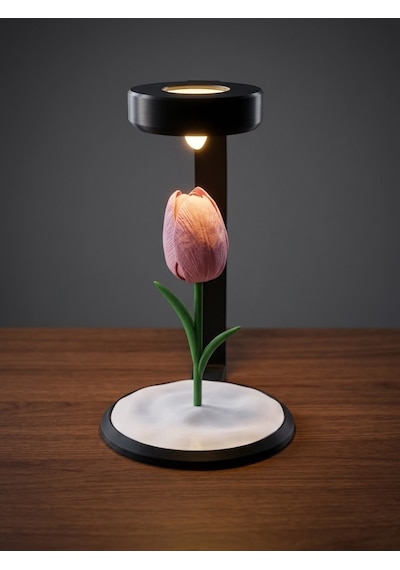 Moonlamp Pembe Lale Dekoratif Hediyelik Lamba