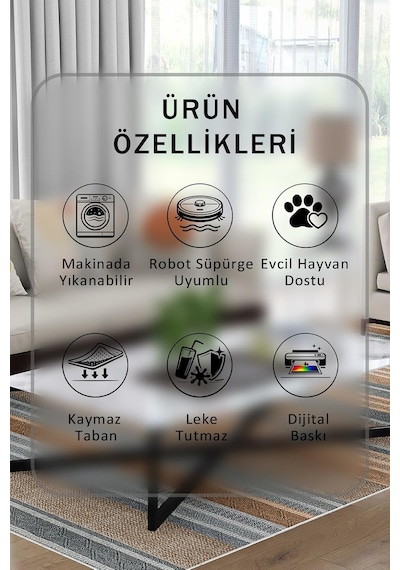 Tr Yıkanabilir Halı Ve Yolluk Kaymaz Tabanlı Salon Halısı, Mutfak Halısı, Modern Dijital Baskı Tasarım 033 Diğer