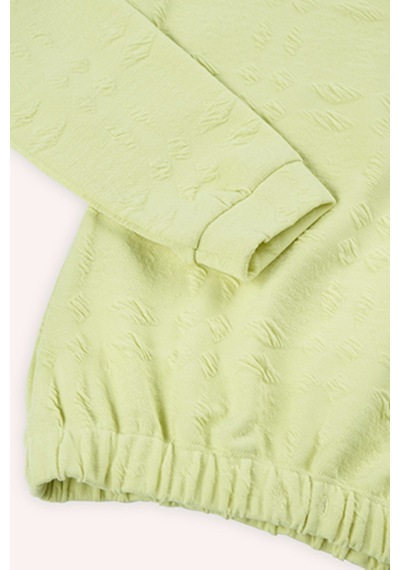 Kız Çocuk Yeşil Sweatshirt 4746144