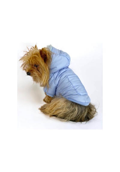 Baby Blue Comfy Köpek Montu, Köpek Ceketi, Köpek Dış Giyim