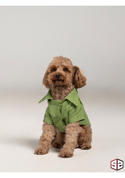 Salya Store Good Vibes- Yeşil Keten Yazlık Köpek Gömleği Küçük Irk