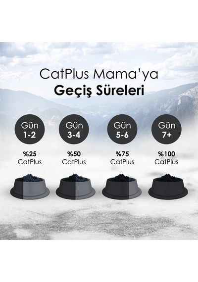 CatPlus Tavuklu ve Hamsili Yetişkin Kedi Maması 2 x 1500 G