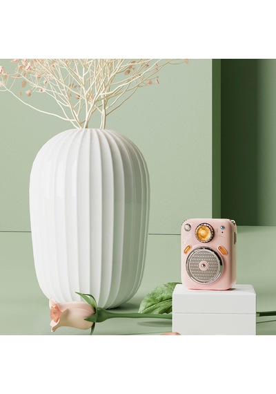 Divoom Beetles FM Radyolu Mini Bluetooth Hoparlör