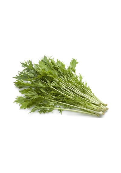 100+ Mizuna Aromatik Çin Yeşilliği Tohumu N111405