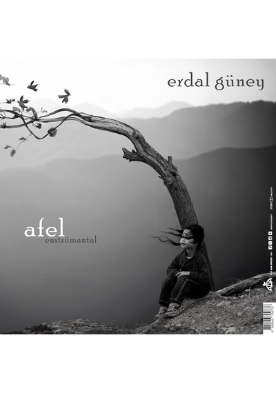 Erdal Güney Perihel-afel Enstrümantal Plak 180g Vinil Lp, Stereo 33⅓ Rpm, İki Albüm Bir Arada