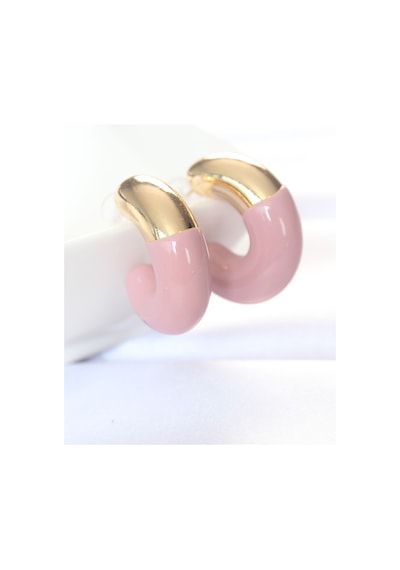 Ccb Gül Kurusu Gold Çift Renk Küpe - Ebj240521w24165 Silver