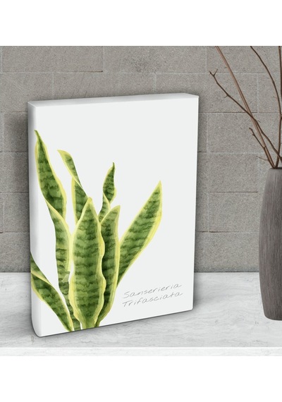 Bk Gift Green Plant Tasarımlı Dekoratif Mini Kanvas Tablo 15X20Cm (506660603)