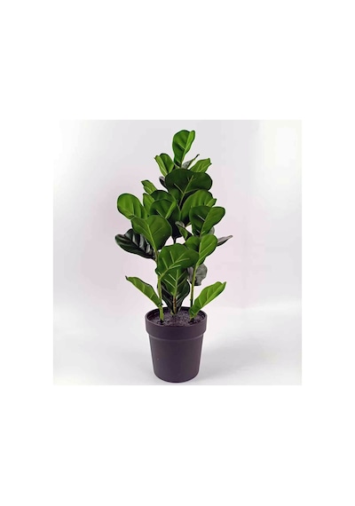 Koçtaş Yapay Bitki Ficus Lyrata Çok Renkli