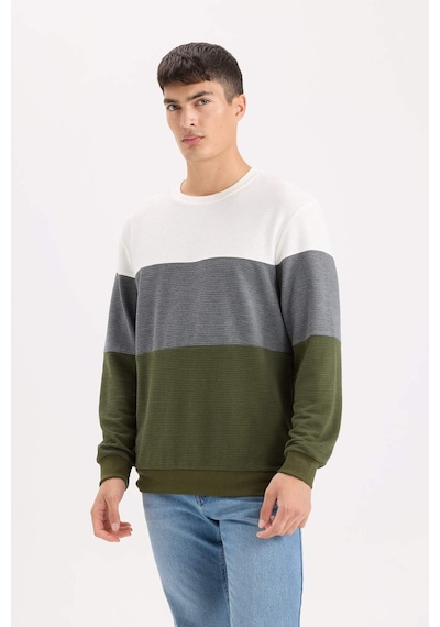DeFacto Regular Fit Bisiklet Yaka Renk Bloklu Jakarlı Sweatshirt D5393AX24AUGN351
