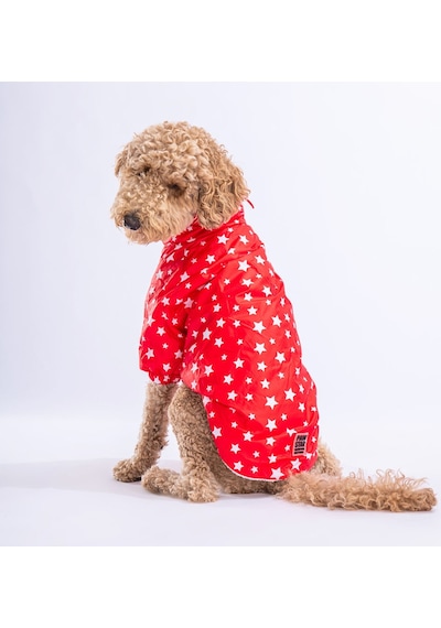 Pawstar Kırmızı Stars Orta ve Büyük Irk Köpek Montu Yağmurluğu