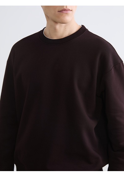 Lcw Vision Kahverengi Bisiklet Yaka Erkek Kalın Sweatshirt